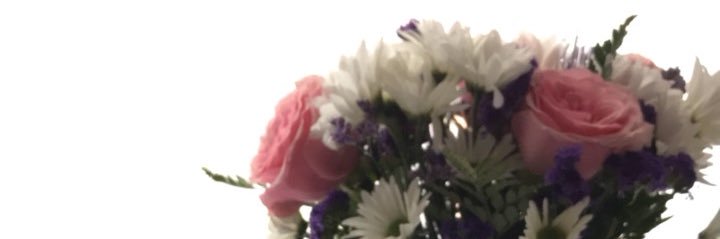 isabellarobrom's profile banner image