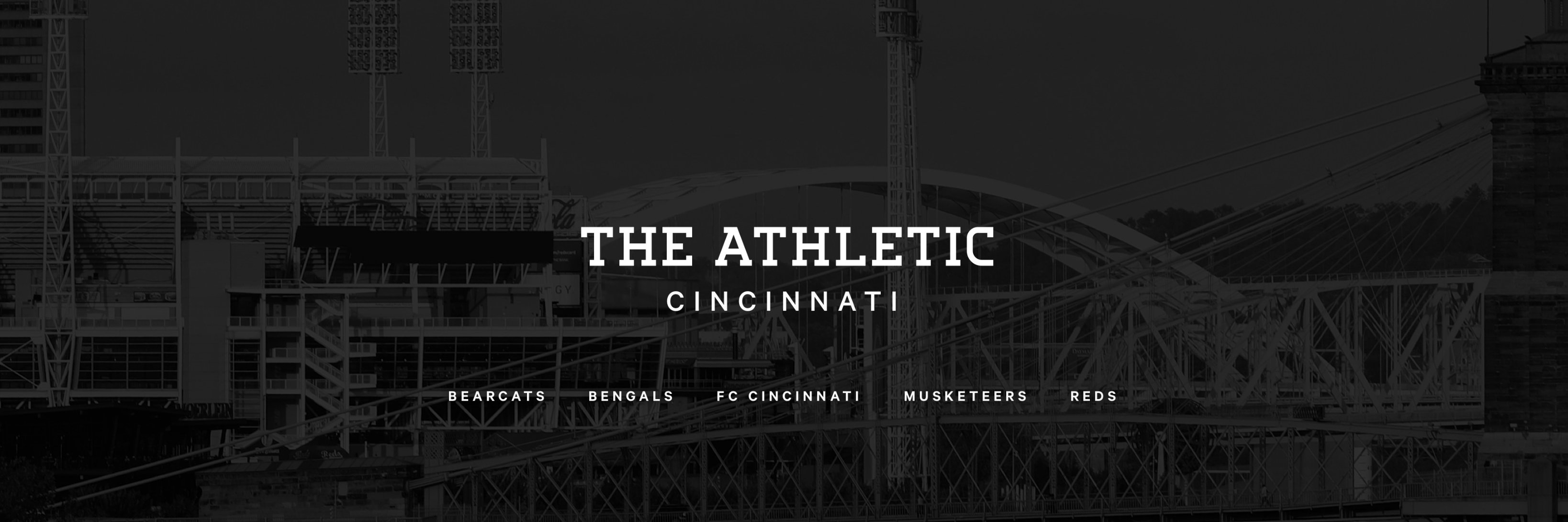 David Niinemets banner