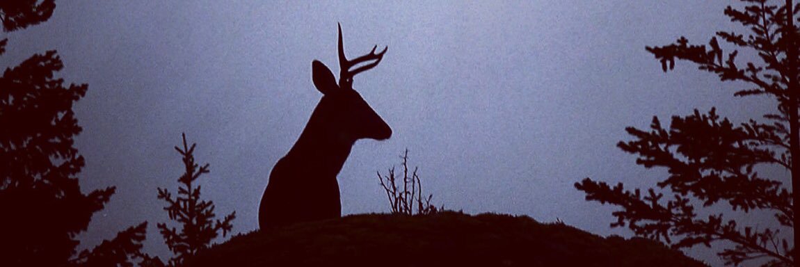 howtohuntcom's profile banner image
