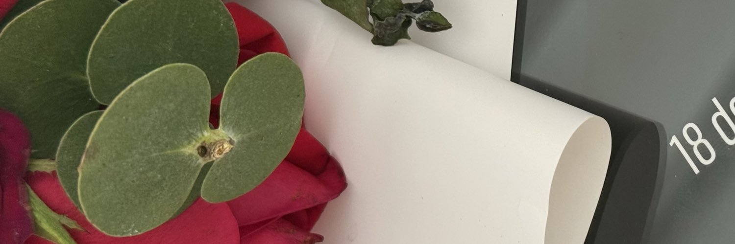 dianarwu's profile banner image