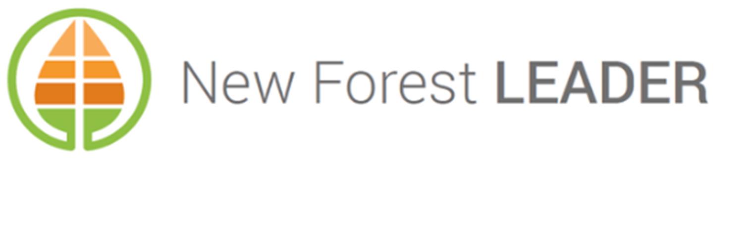NewForestLeader's profile banner image