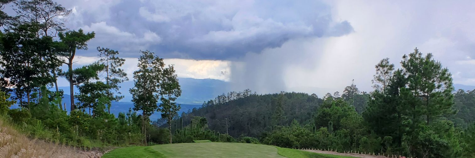 Cristian Rodríguez banner