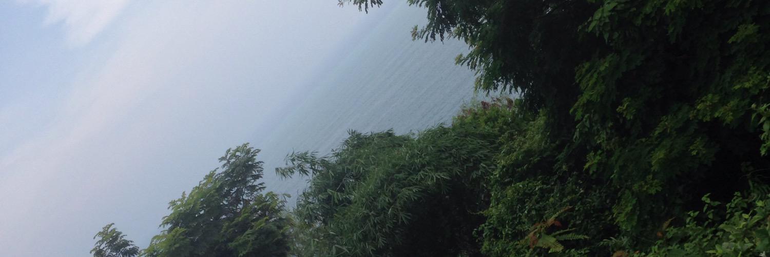 kuwaitameed's profile banner image