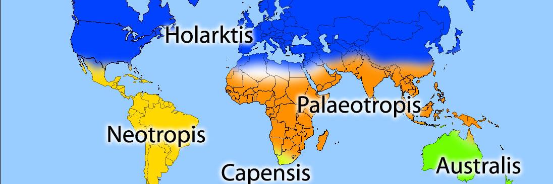 fixwikimaps's profile banner image