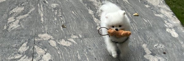 jjinweb3 Profile Banner