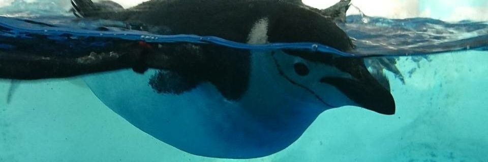 tc_1122's profile banner image