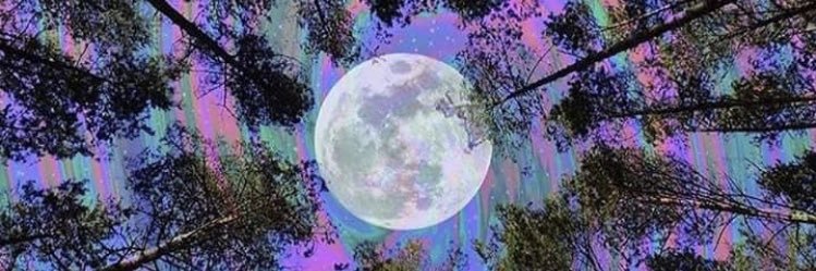 brianjfoley10's profile banner image