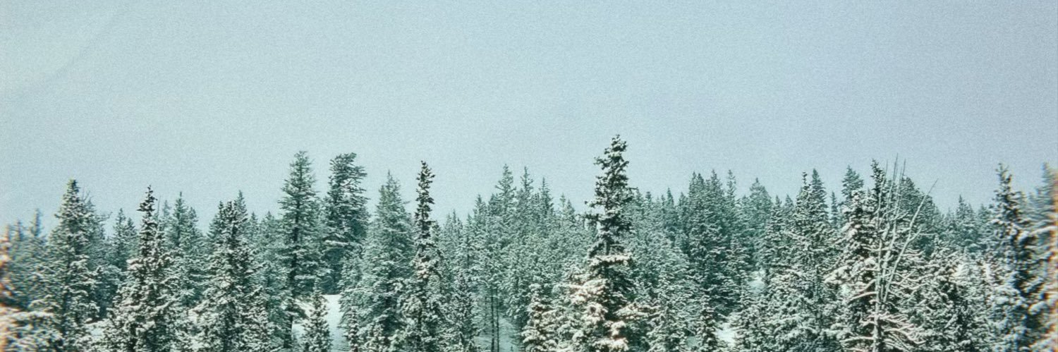 serenaxren's profile banner image
