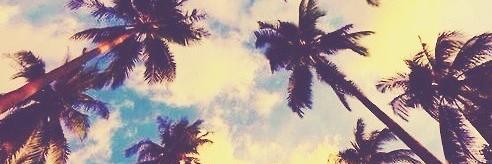 chapada420's profile banner image