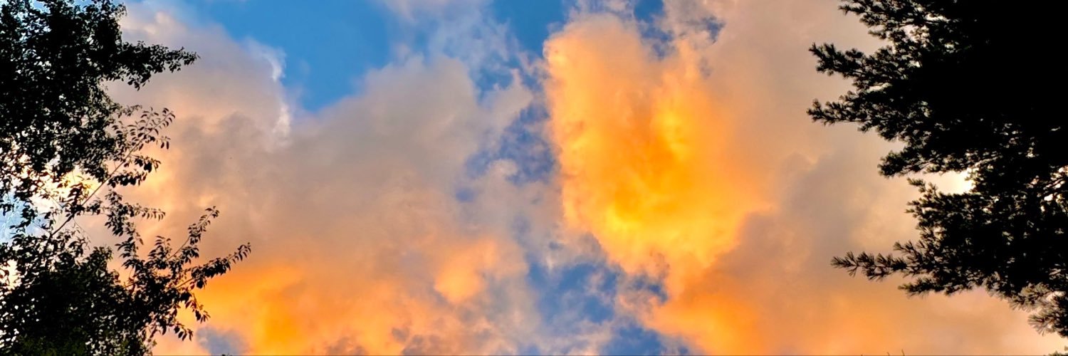 goddesspanda526's profile banner image