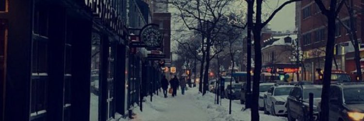 q_f95's profile banner image