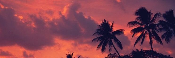 bashlific's profile banner image
