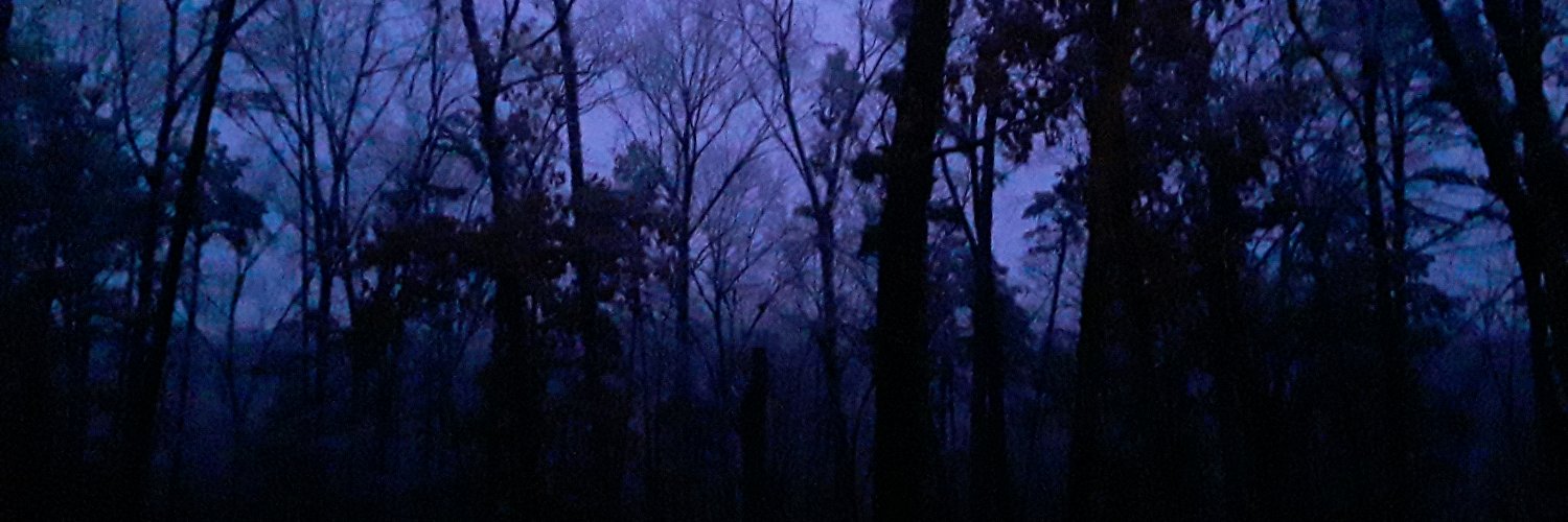humanspan's profile banner image
