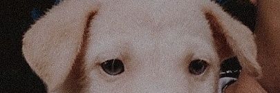 jrldtlsts's profile banner image