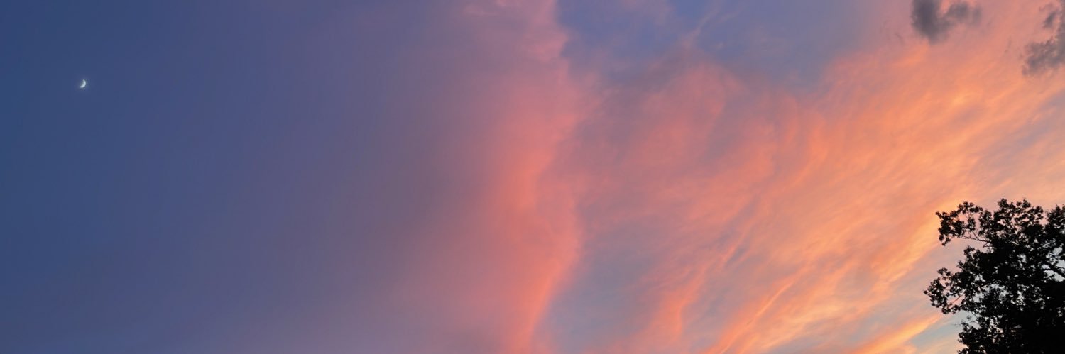 stee_pphhh's profile banner image