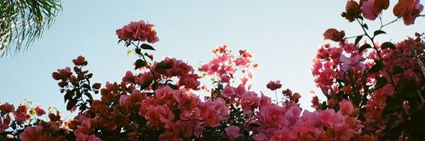 ZaimGhani_'s profile banner image