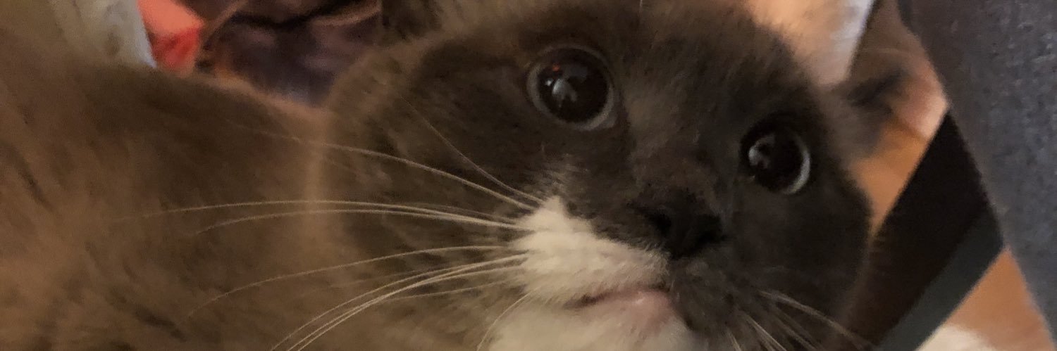 HeyCaptn 🦥 banner