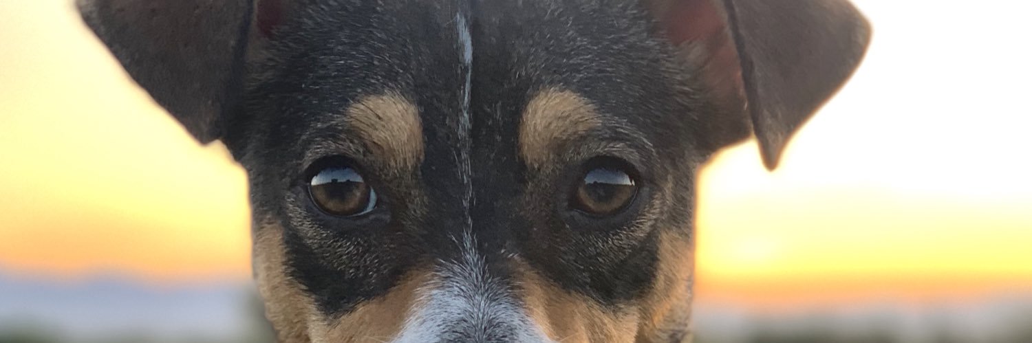 VillGuerrero's profile banner image