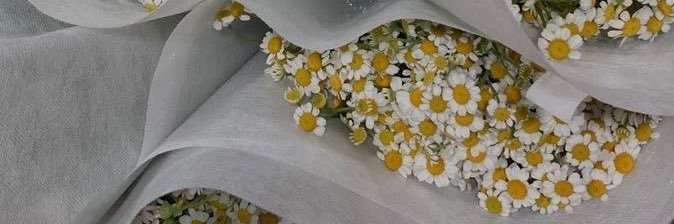 moiratoti's profile banner image