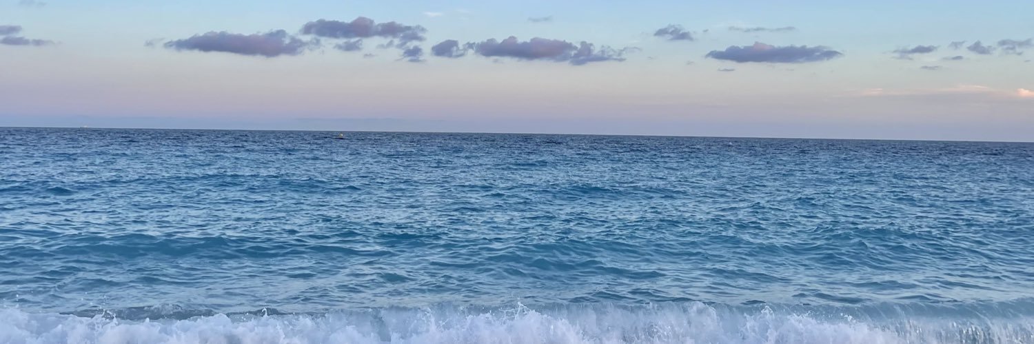 reem_ameri's profile banner image
