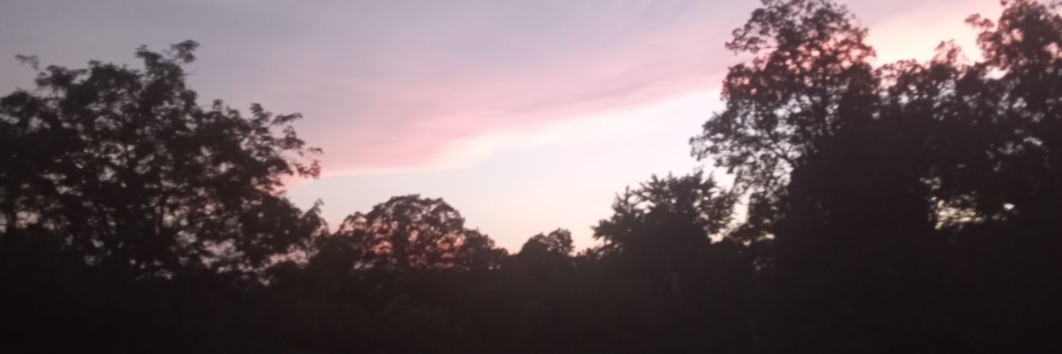 zilla705's profile banner image