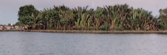 arushsingh67's profile banner image