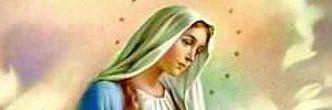 MarieMl50's profile banner image