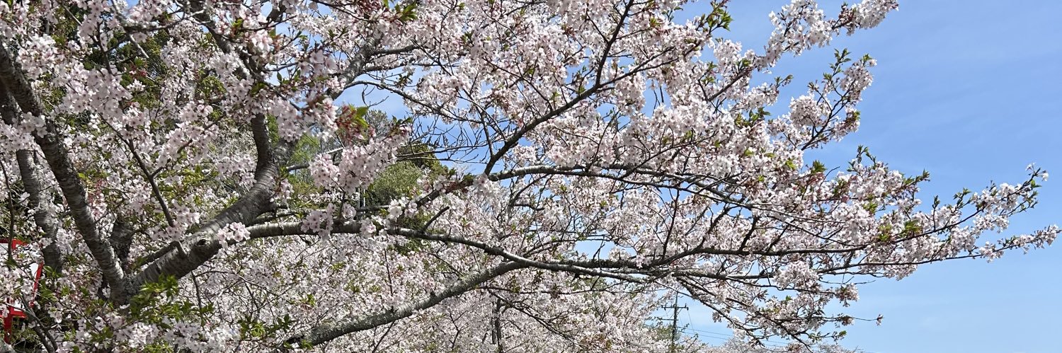 mizu_bb20's profile banner image