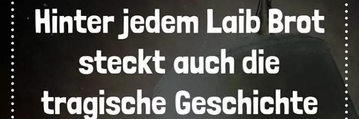 Adelsberger85's profile banner image