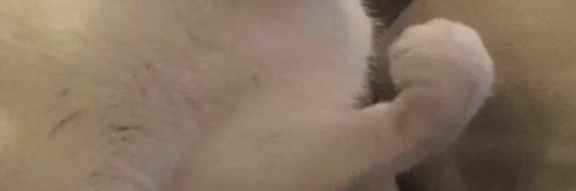 maranonashley's profile banner image