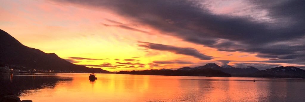 Cassandra Adams banner