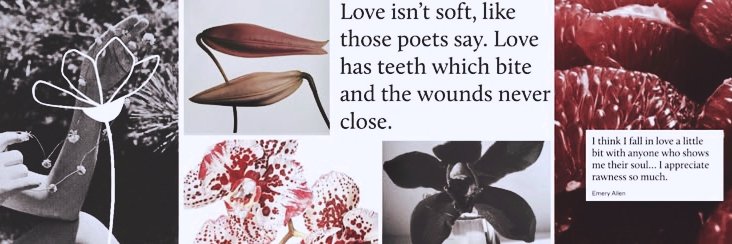 Charmonique. banner