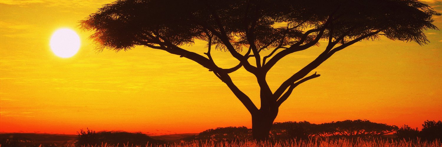 BarakFargoun's profile banner image