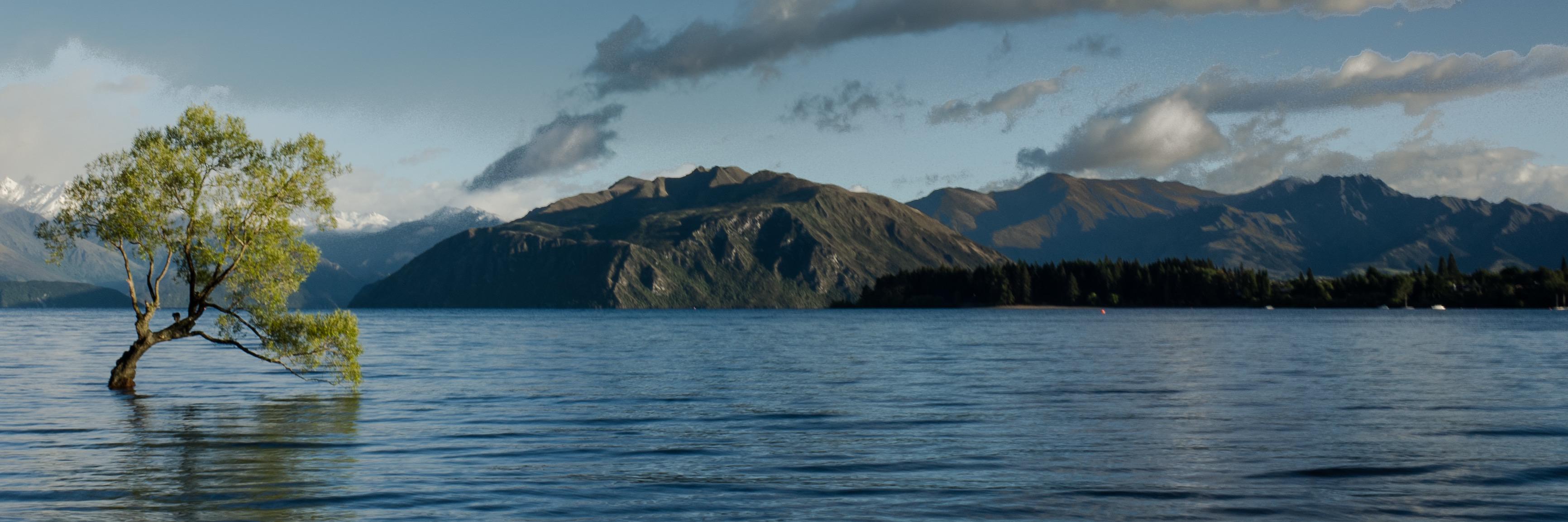 Guy_Healey's profile banner image