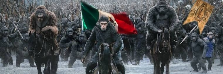 Sergio banner