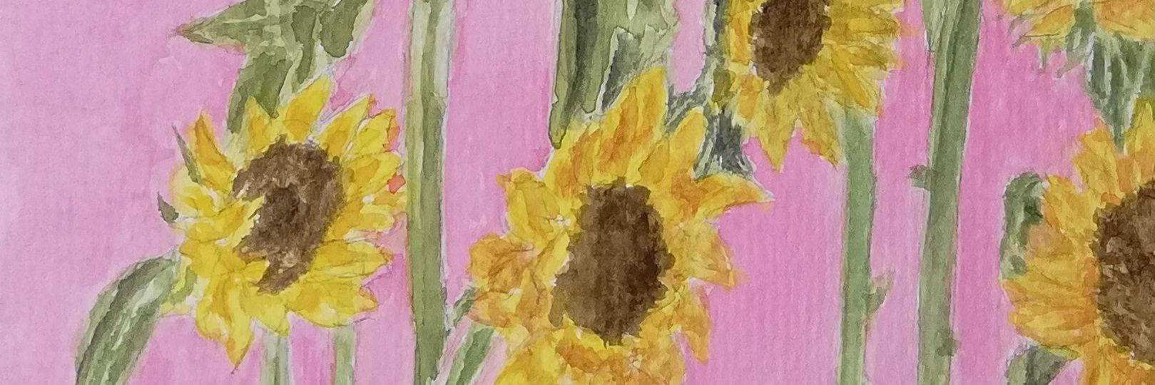 yilisef's profile banner image