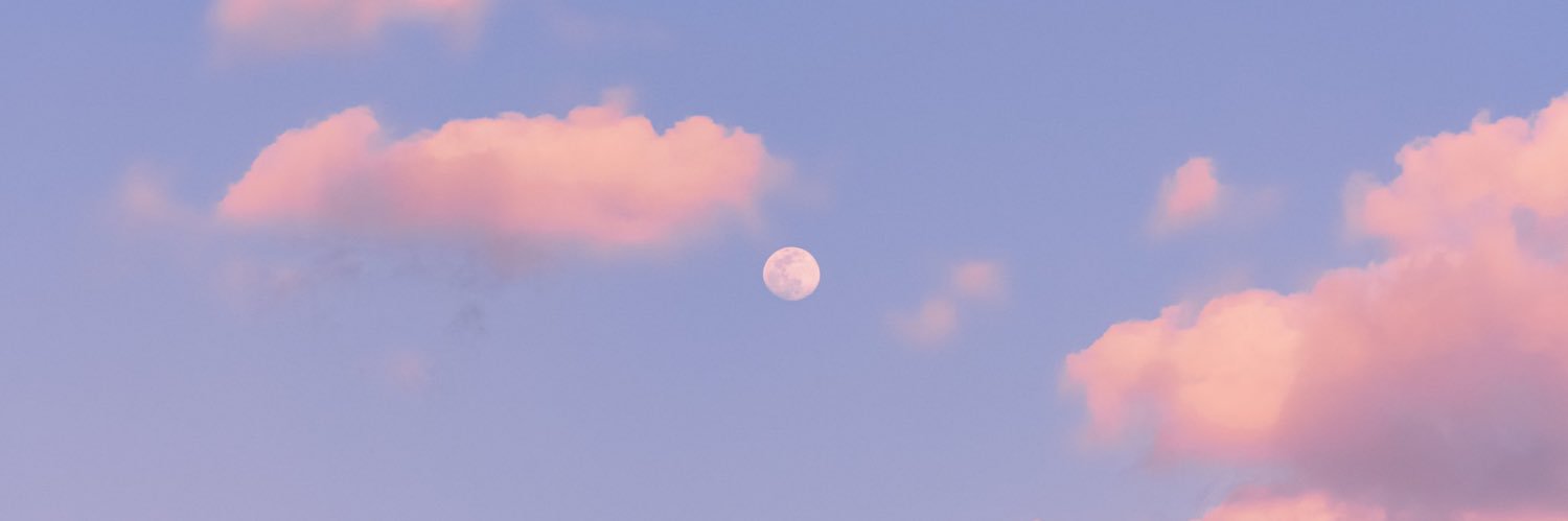 momo__fleur's profile banner image
