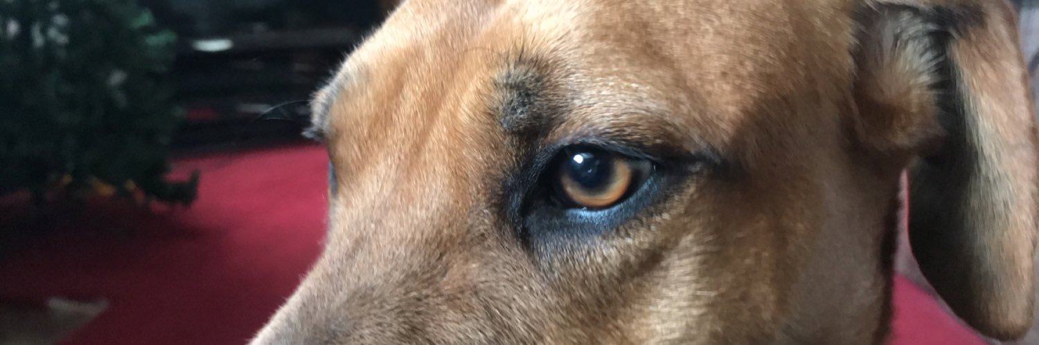 TheRealHaunted's profile banner image