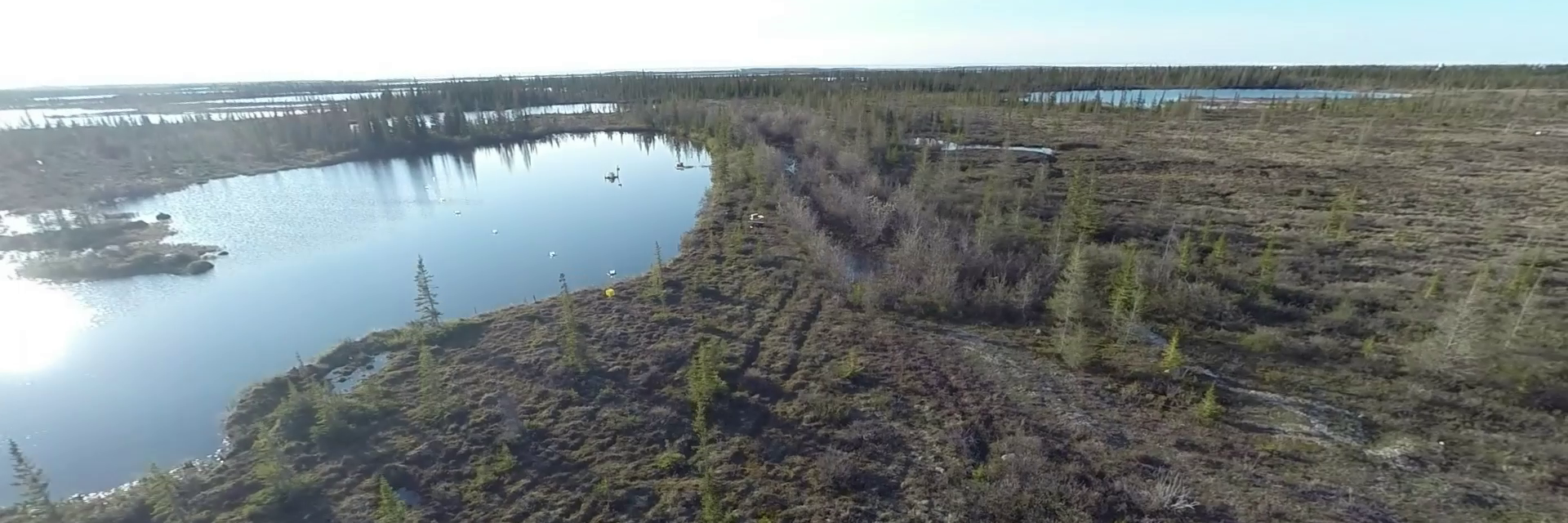 Matt Q Morison banner