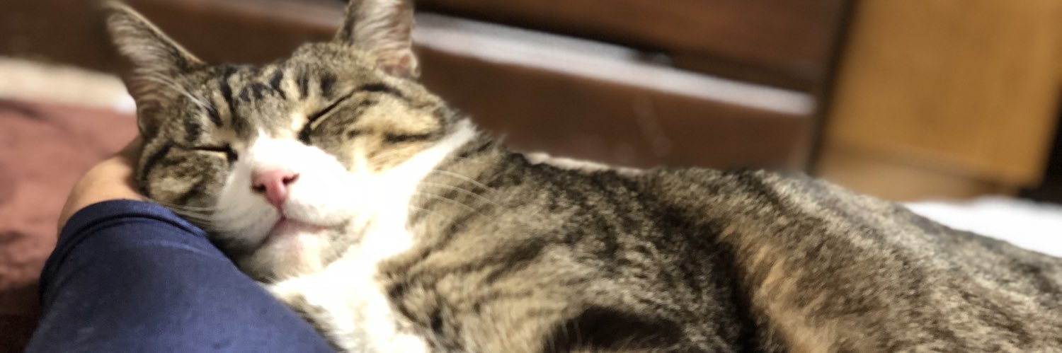 kenman519's profile banner image