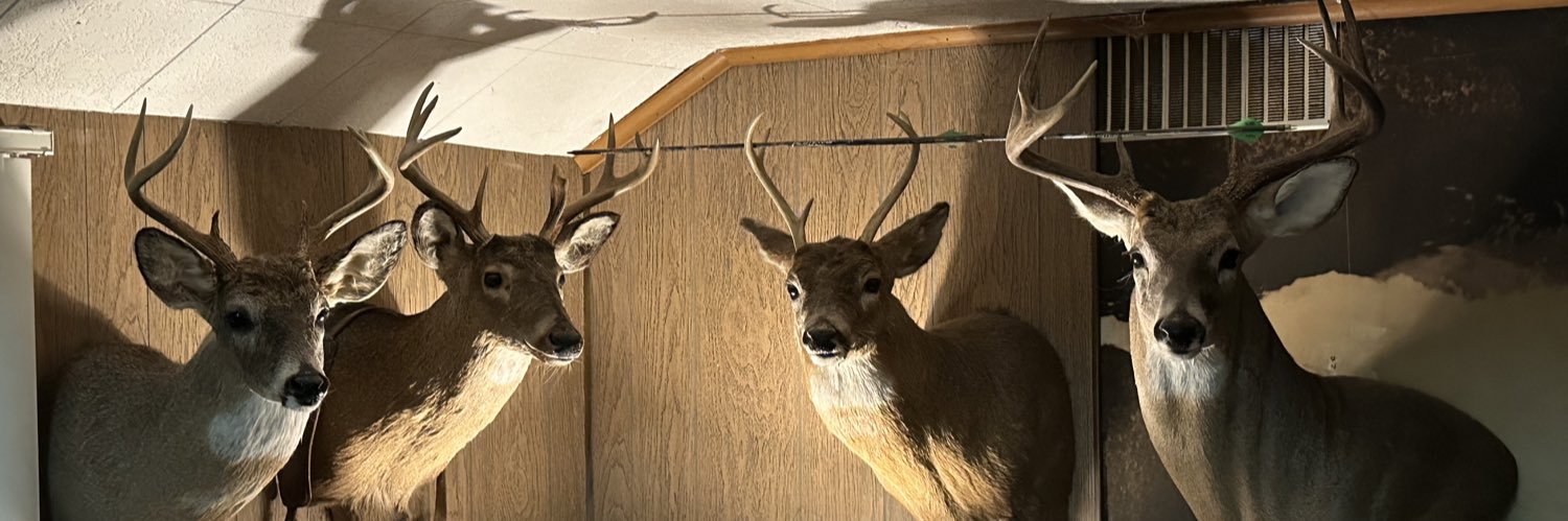 MichaelDunce1's profile banner image