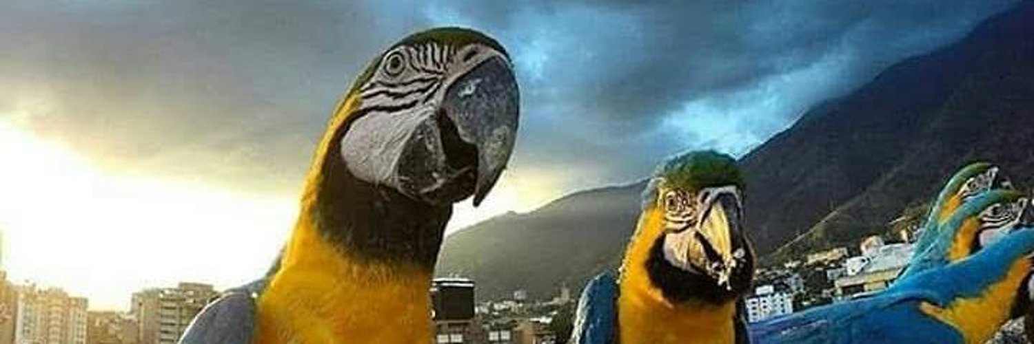 h_sanchezm's profile banner image