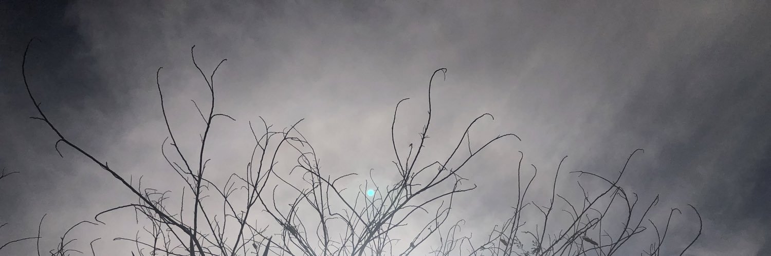 forkiiraq's profile banner image