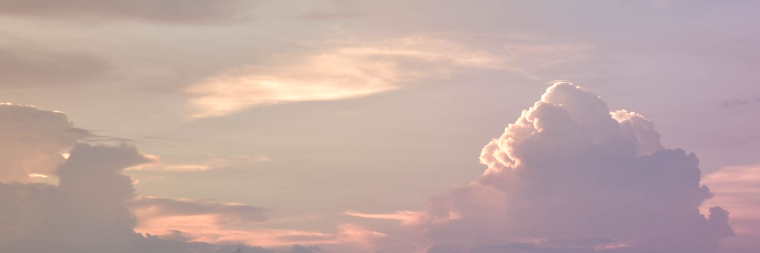 cornflowerblu_e's profile banner image