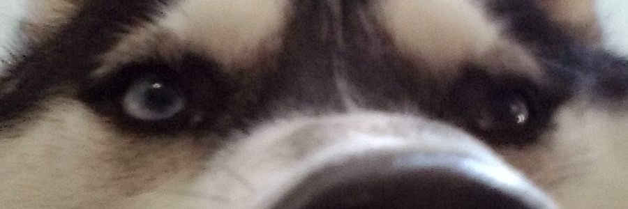 JoeA2Z's profile banner image