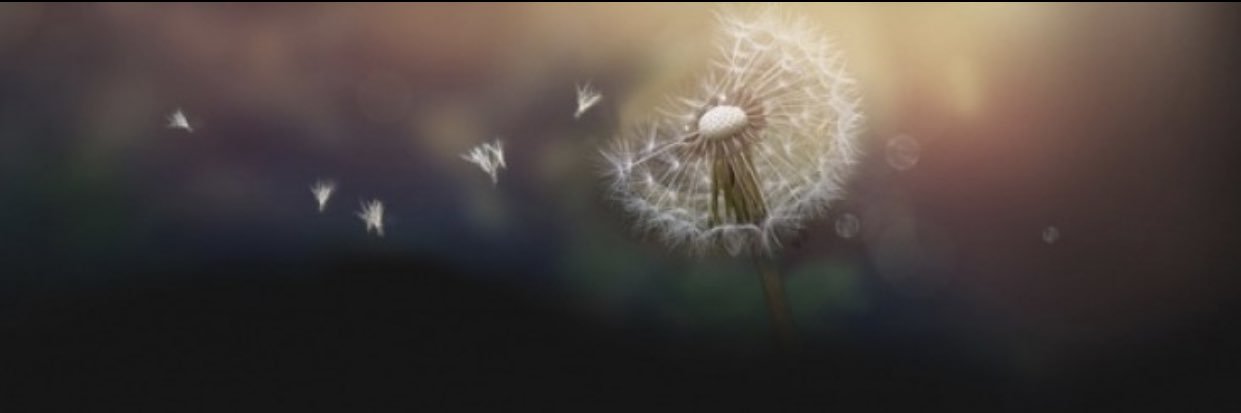 MelissaUB's profile banner image
