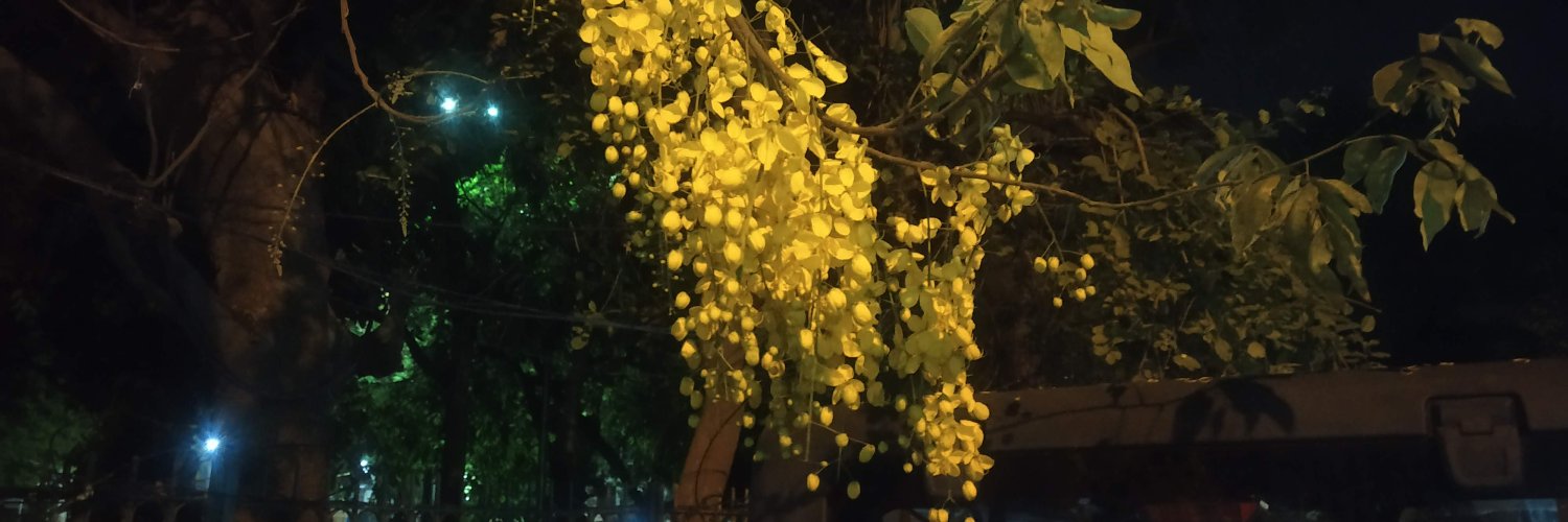 tapasya tofuss banner