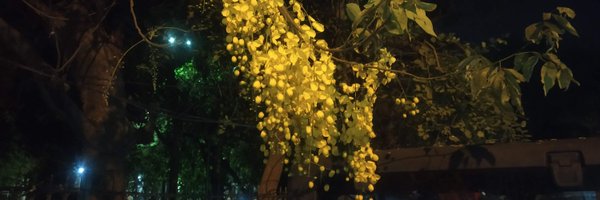 tapasya_umm Profile Banner