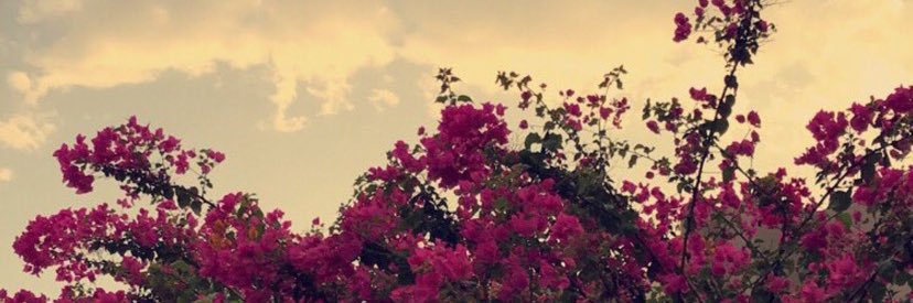 Noorgroof17's profile banner image