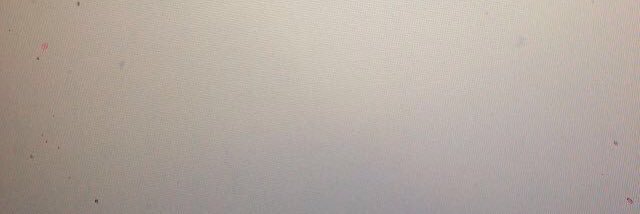 NitertWillemijn's profile banner image